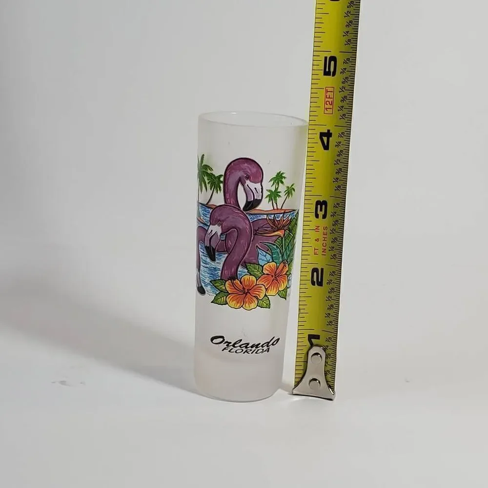 Collectible Shot Glasses Orlando Florida 4